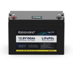 Pin lithium 12V 100Ah LiFePO4 cho e-scooter, xe đạp điện, xe máy điện, EV