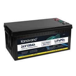 Lithium ion battery pack for e-bikes 24V 100Ah LiFePO4 20kg in Vietnam