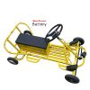 Scooter for amusement park