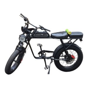 Hình ảnh ebike đã độ lại pin